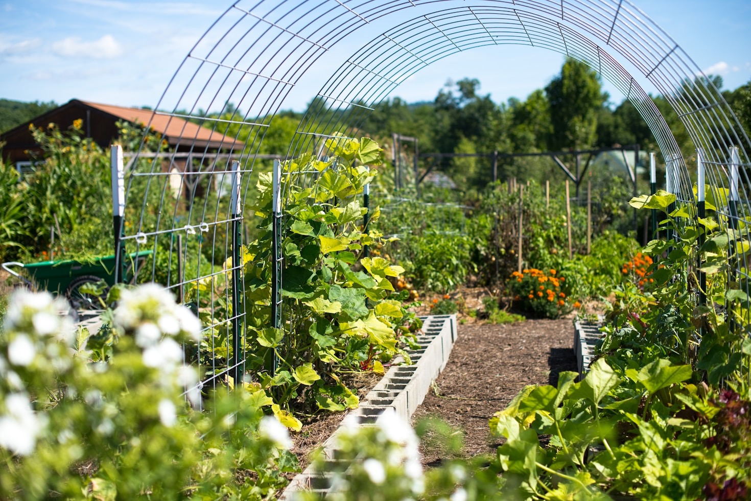 Creating Self-Sufficient Systems on the Homestead